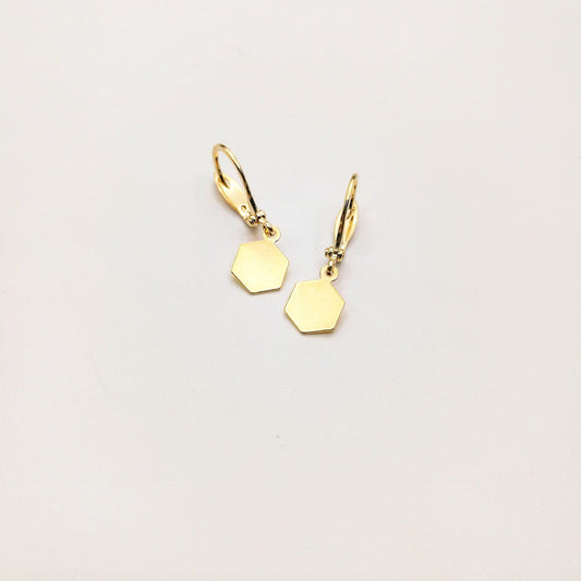 oorbellen met hexagon 