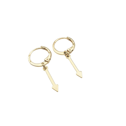 oorbellen met pijltjes - lux & luz