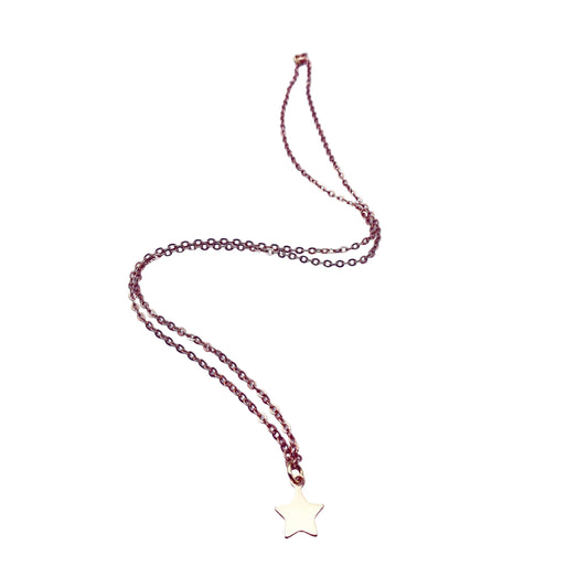ster ketting - ketting met hangertje van sterretje - koop online unieke sieraden - lux  luz - your jewelry